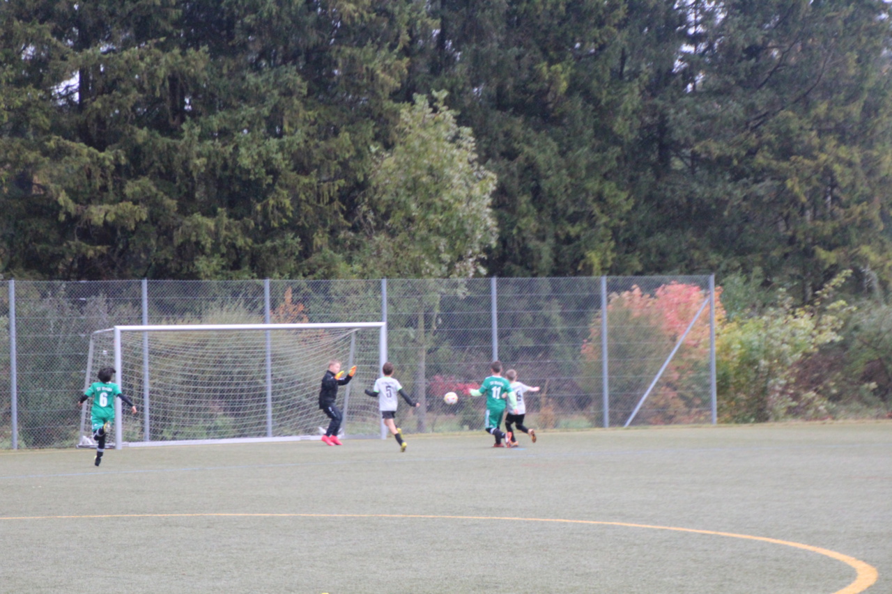 082210_1e710809edb84739a5478c588aa88f38~mv2.jpg