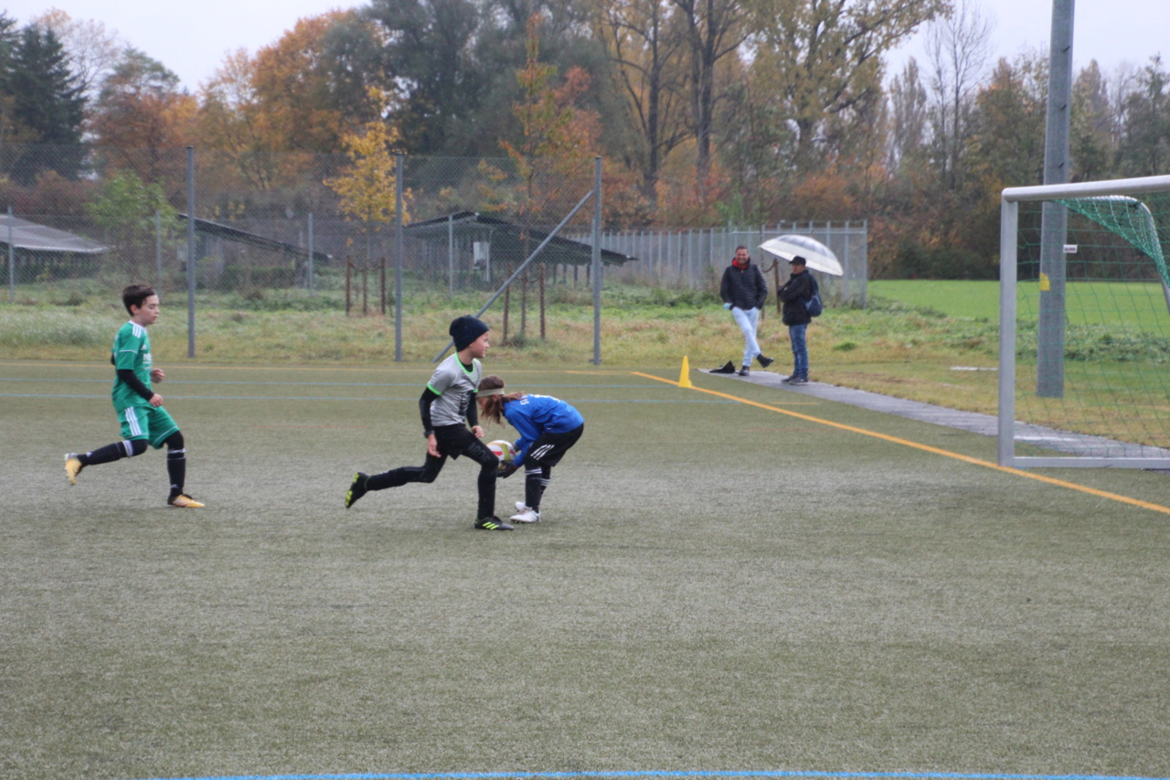 082210_842a1fe5be3d46c7adde20835e1f61ae~mv2.jpg