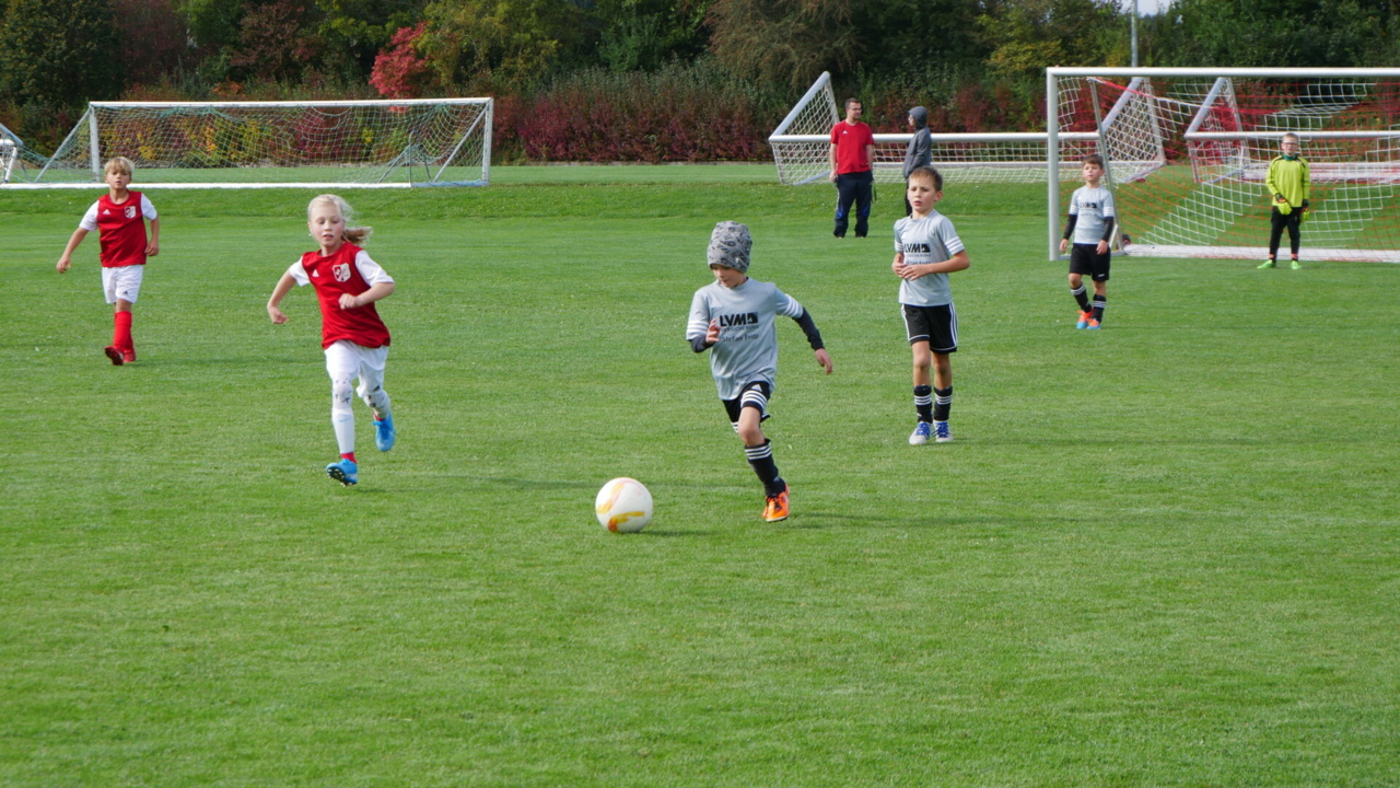 164b4b_19095047d64944738276e7933199544c~mv2.jpg