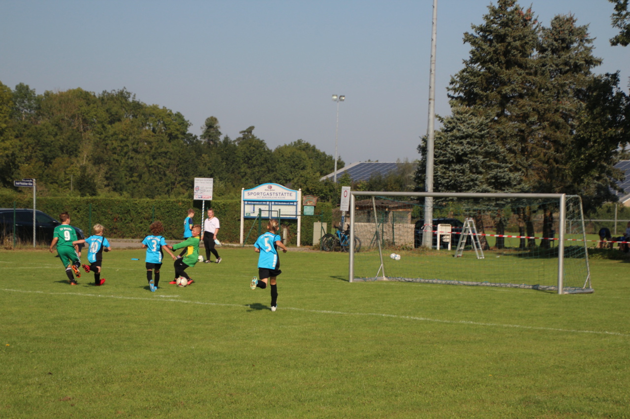 082210_8bfa4adbaa8647ddac2747f716d76041~mv2.jpg