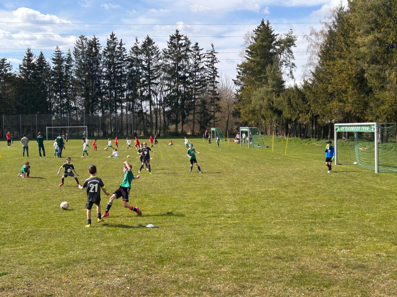 WhatsApp Image 2025-04-05 at 17.39.48 (8)