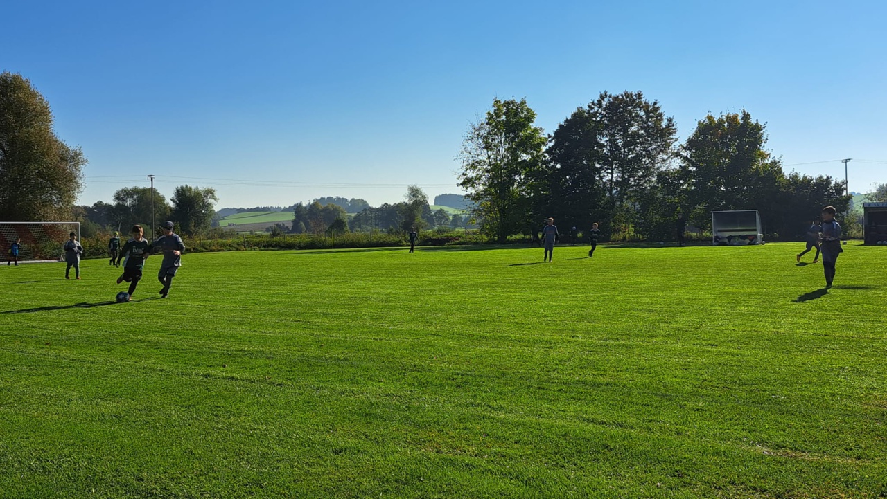 WhatsApp Image 2025-10-04 at 15.41.31 (1)