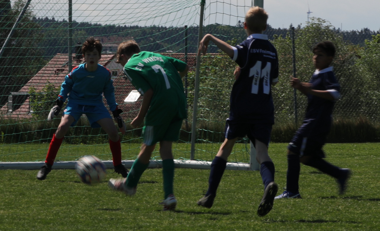 082210_9725cc10368048a180127debb52f4942~mv2.jpg
