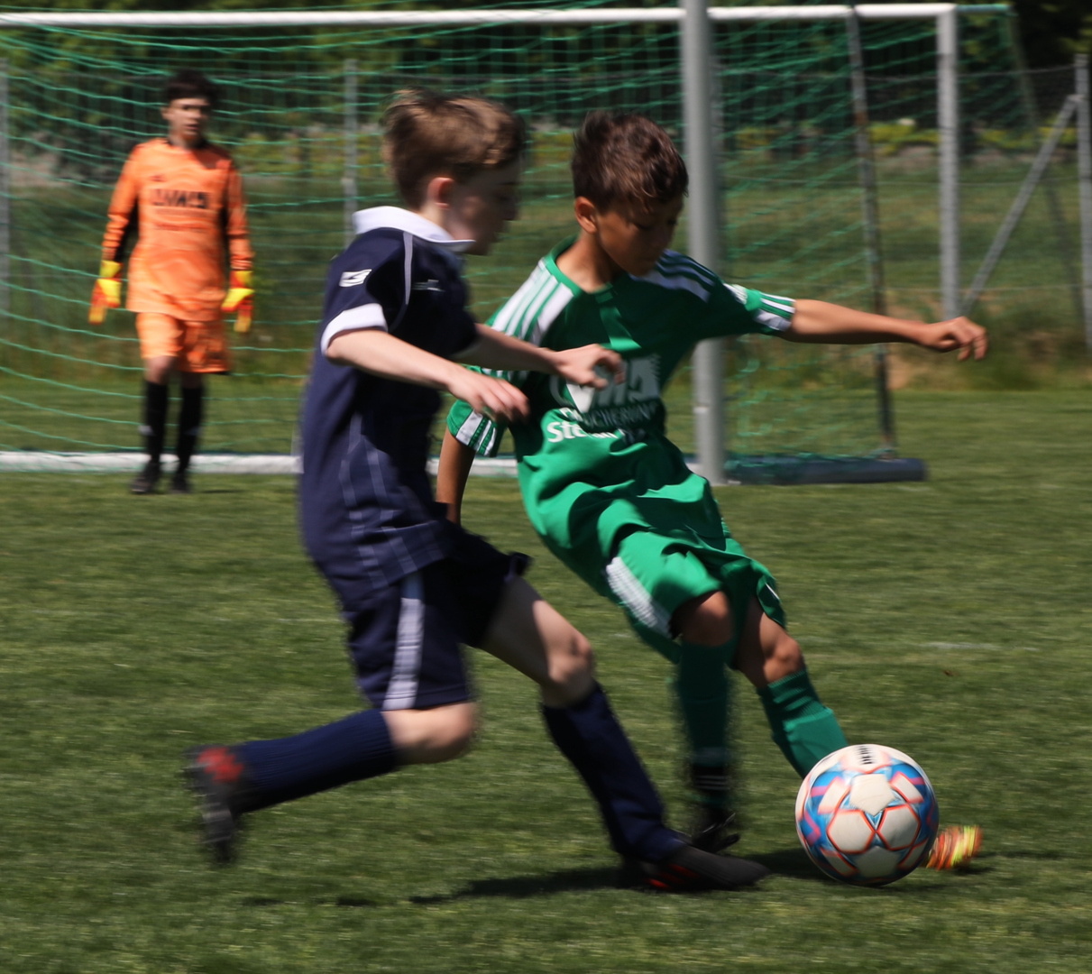 082210_10e452be893c4e7190d72263b75e1406~mv2.jpg