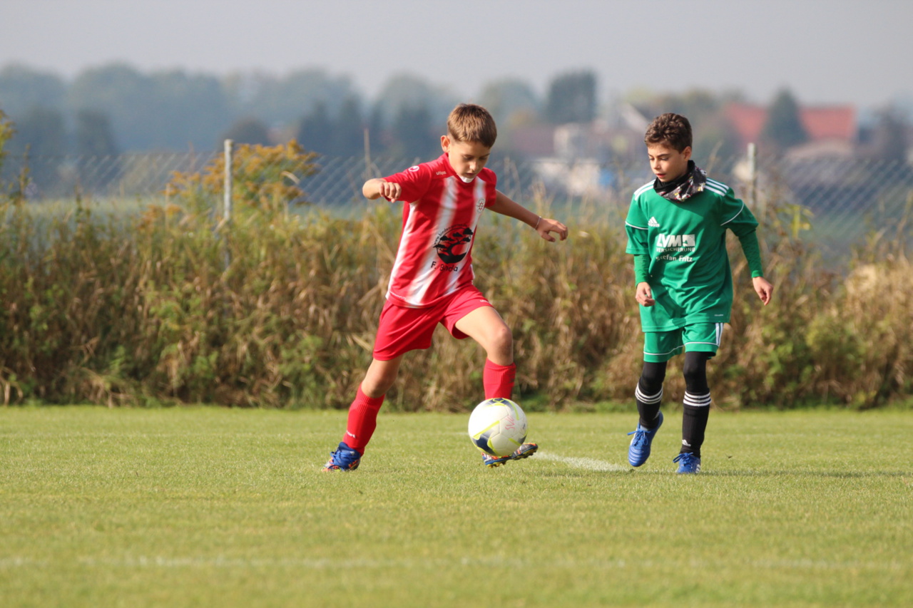 082210_77612bef92b041a78fbc1f9c5901c68d~mv2.jpg