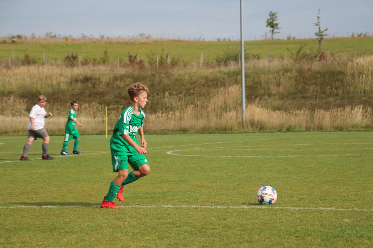 082210_26772593483d45a48672ba3afc45a556~mv2.jpg