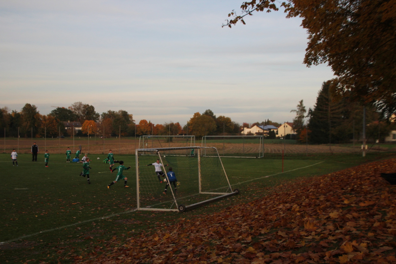 082210_40ef5c0ac2874c2e9926871bac399b14~mv2.jpg