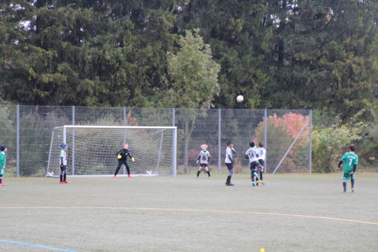082210_12ba2854984749c49f52ab26b475ca85~mv2.jpg