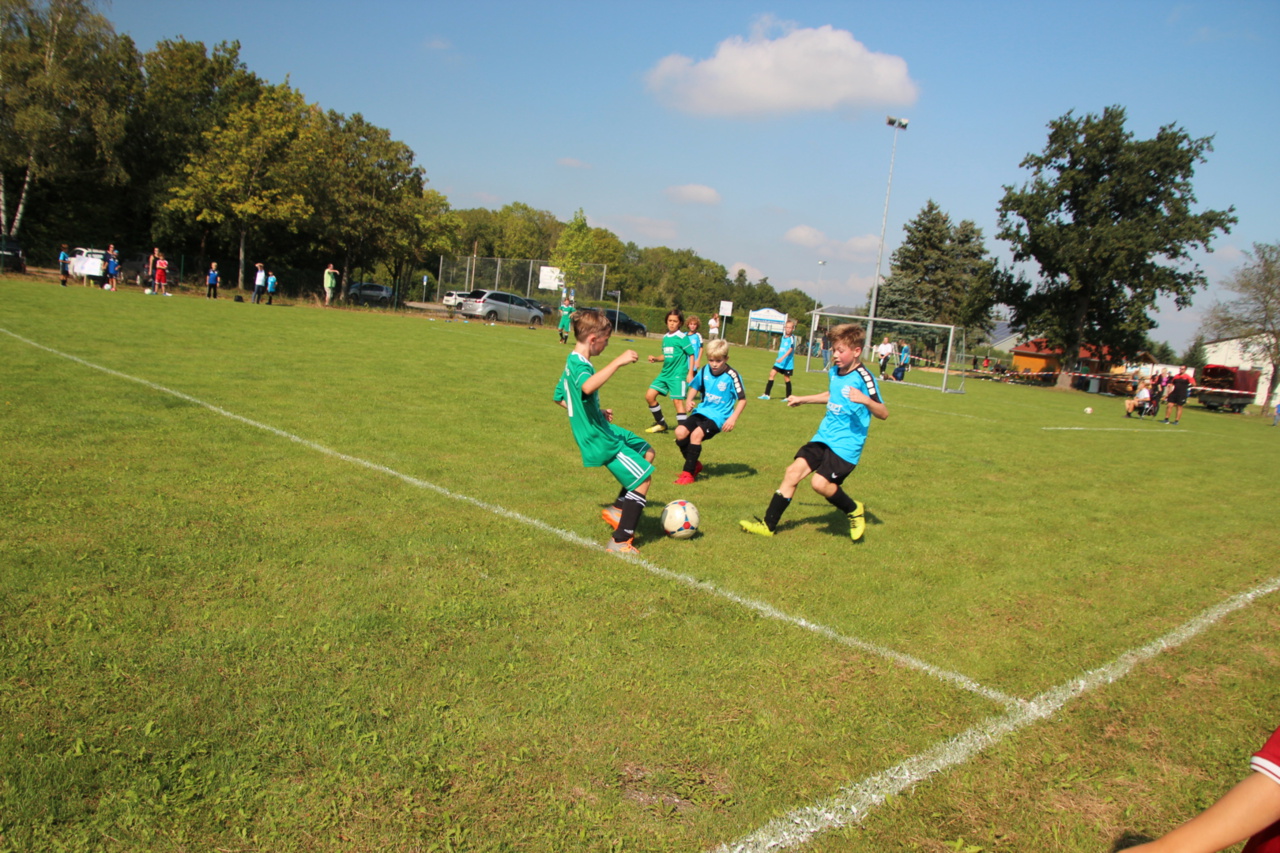 082210_db7dc178163740a9a42df5e56e8ba4dd~mv2.jpg