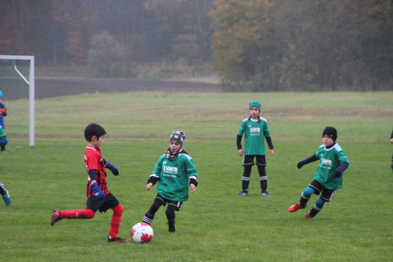 082210_432f991b8e5d4525a672ebbc645aa7dc~mv2_d_5184_3456_s_4_2.jpg