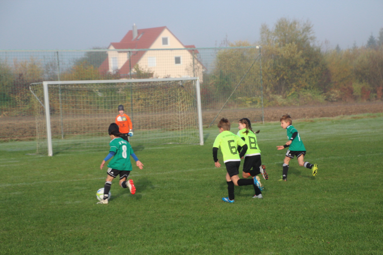 082210_11a830a8228b4d18878a21314b32f016~mv2_d_5184_3456_s_4_2.jpg
