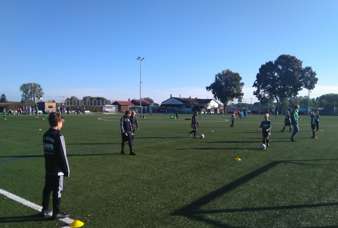 WhatsApp Image 2023-10-07 at 12.07.51