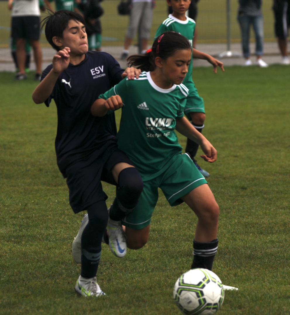 082210_52b8a1e6c3d542acb300a70b6b8f1401~mv2.jpg