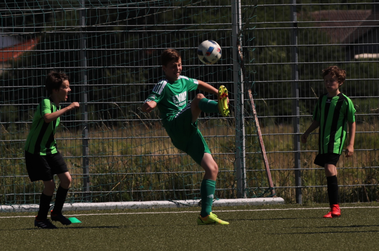 082210_b6010f0c8fd94afc9dbfbc73ab3a1b77~mv2.jpg