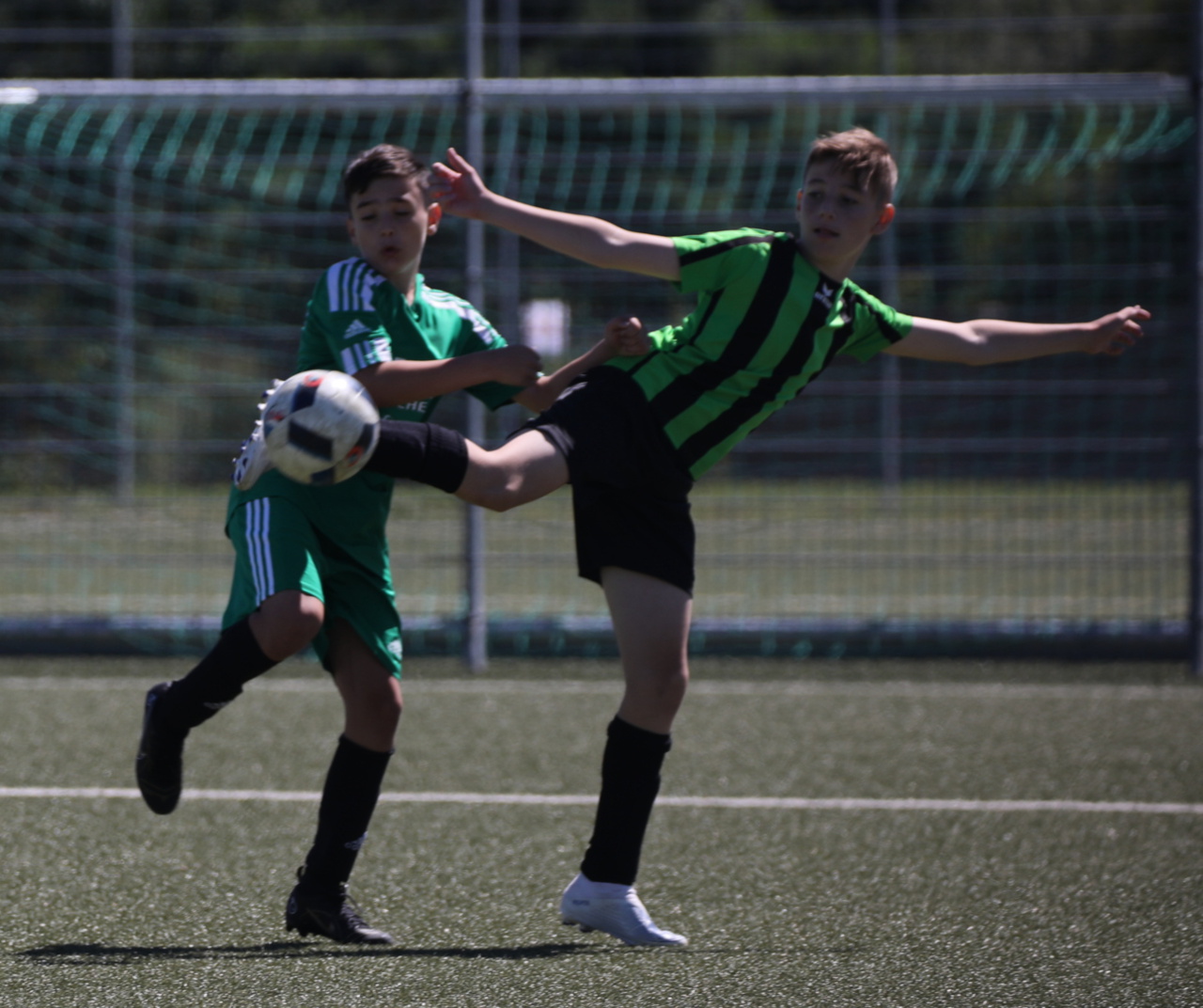 082210_7ed0e3a5631742749caee0cd5bf6eb17~mv2.jpg