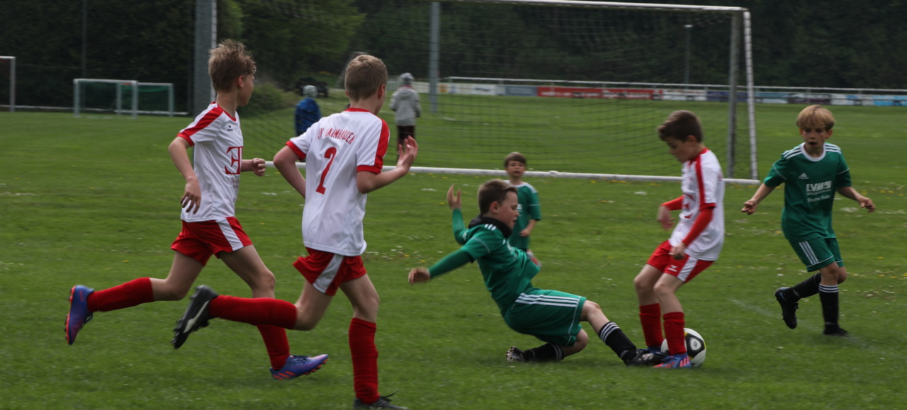 082210_c4ab21b38ecb4eaf991320e9dd67a008~mv2.jpg