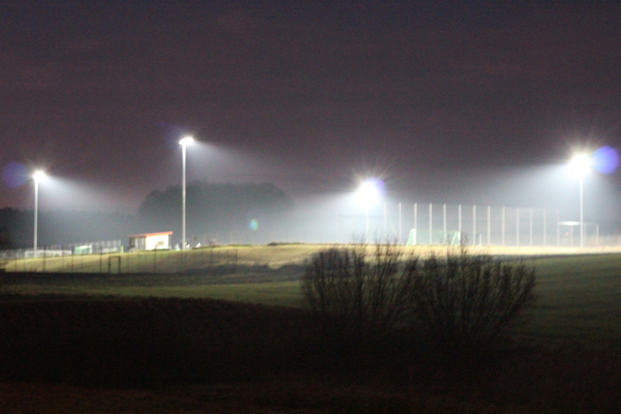 082210_7345c7d3eaa14237a1ca96525011f249~mv2.jpg