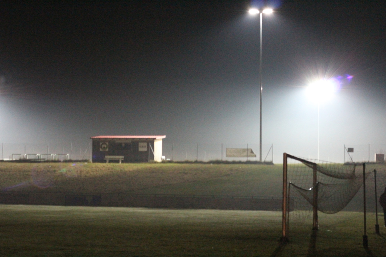 082210_29c5c593360942efb10a9767490d71c4~mv2.jpg