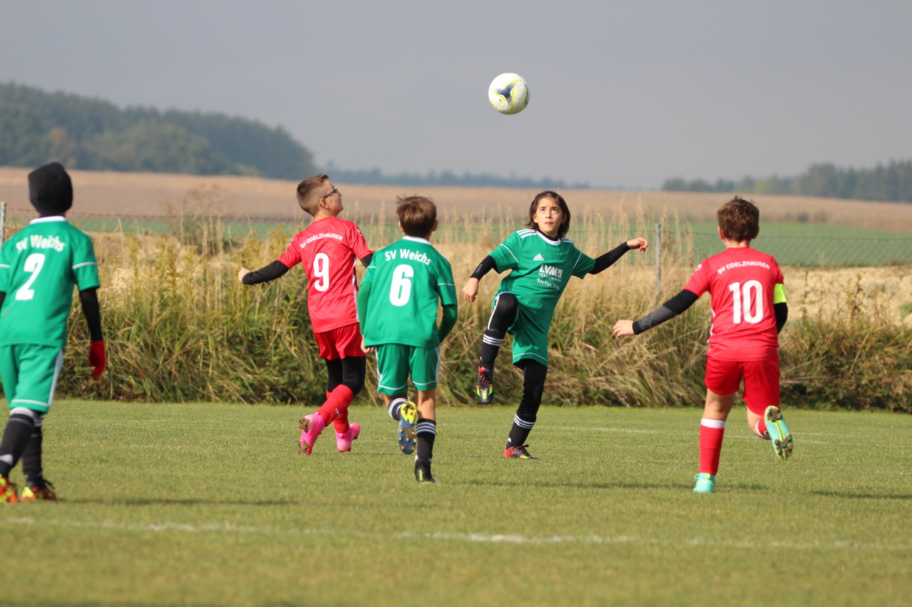 082210_9ec2fdc7e9b94267a819b9911b3b0529~mv2.jpg