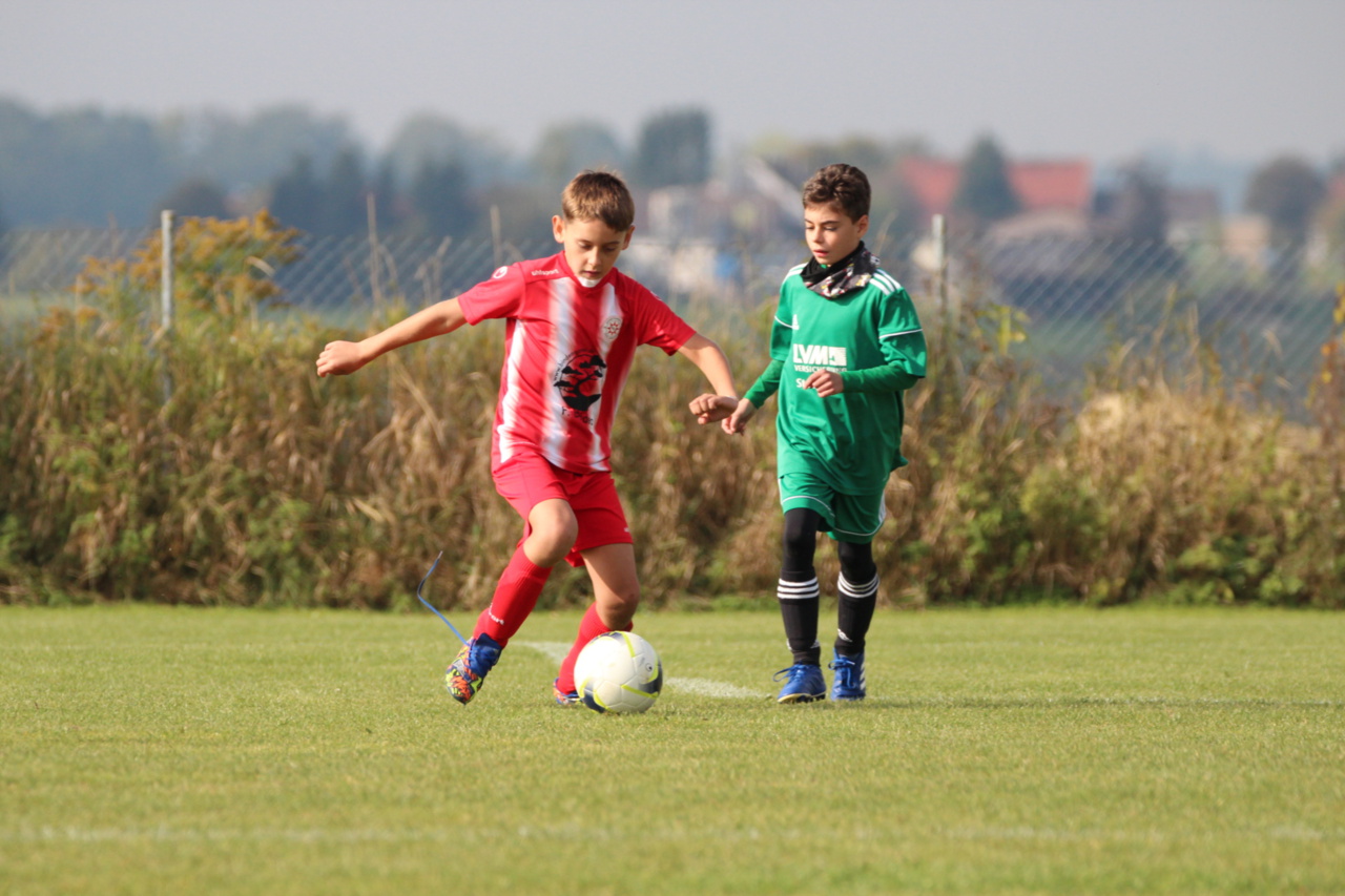 082210_4b79dcfe053f44be919d52cbf6367da9~mv2.jpg