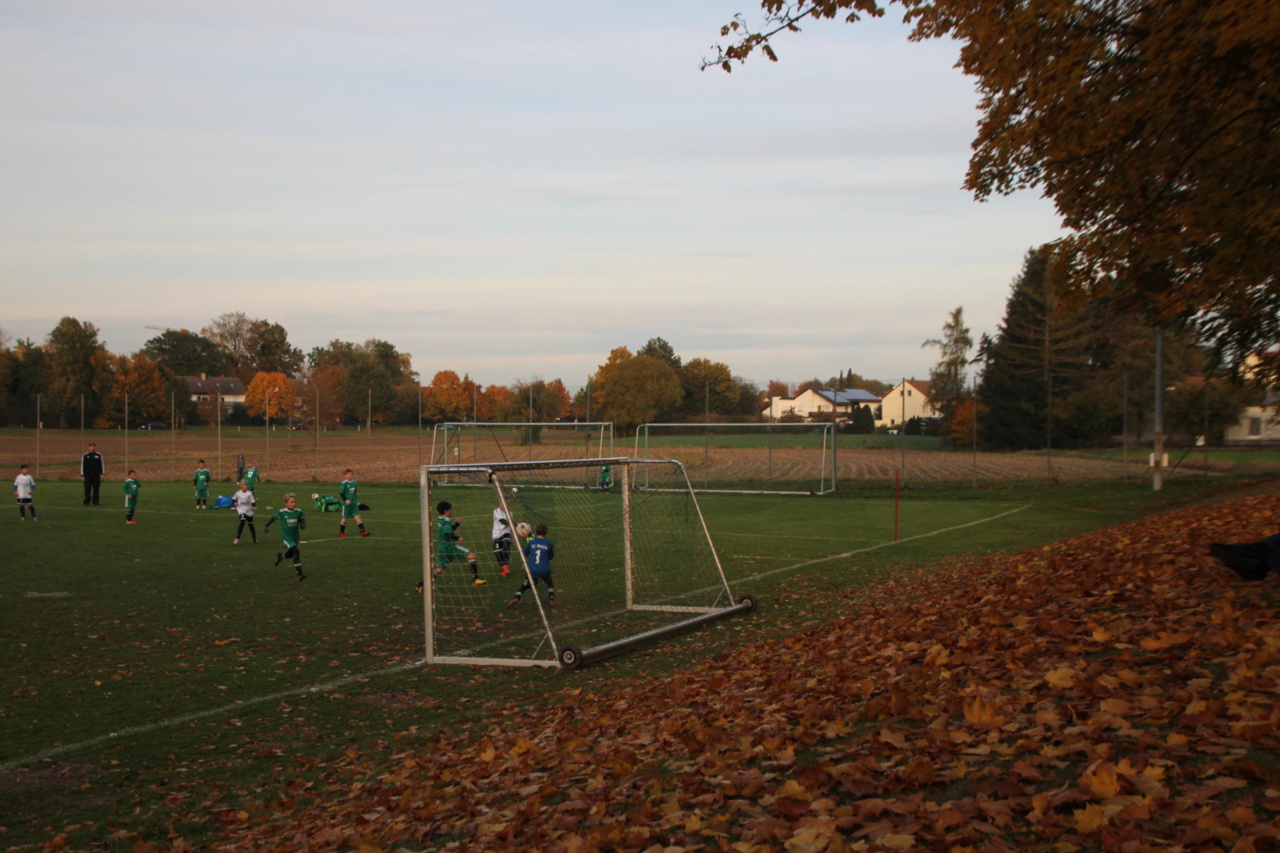 082210_b6ba08e5fd2c474ea3845e80f94dc560~mv2.jpg