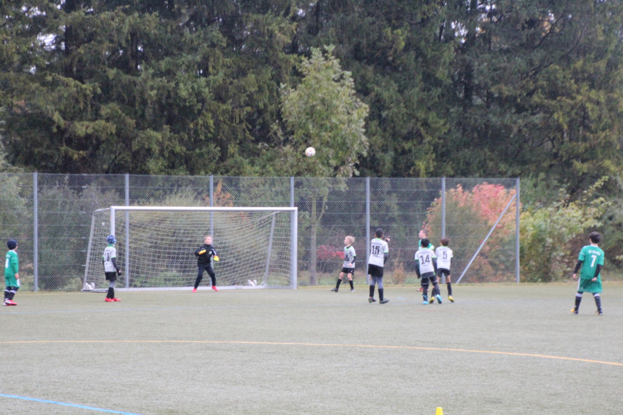 082210_cc53b58fefc14dea83758d90e9704744~mv2.jpg