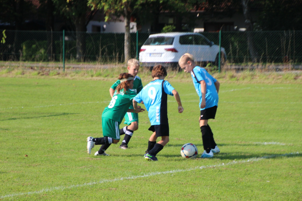 082210_f901c414a68b4713adbd182cb01b3d6e~mv2.jpg