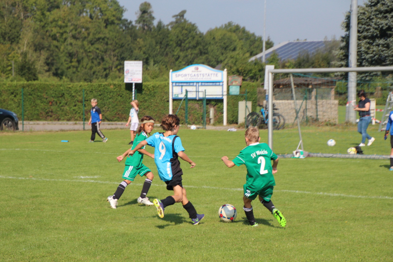082210_2b383f2d25124afe8b521a83115e1a12~mv2.jpg