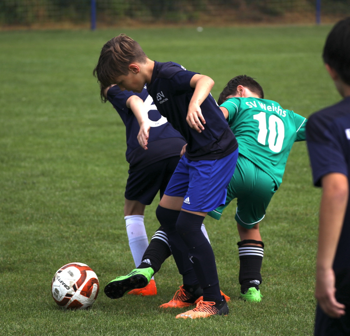 082210_ab69e4ecb2884ce6947a0b54e8babfd6~mv2.jpg
