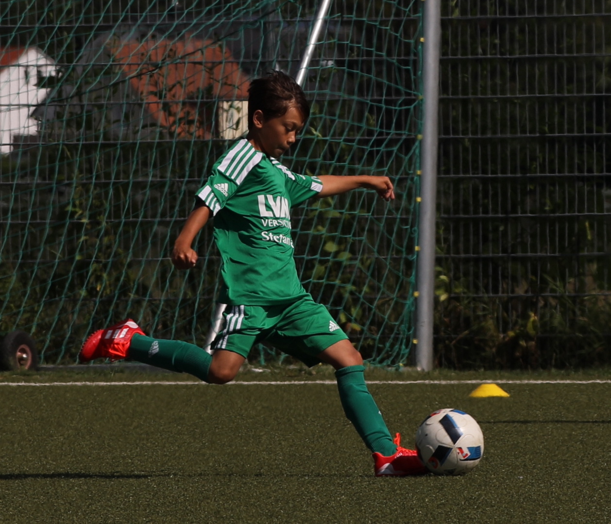 082210_8168ec83d9a643bb8bcf7e601eb143df~mv2.jpg