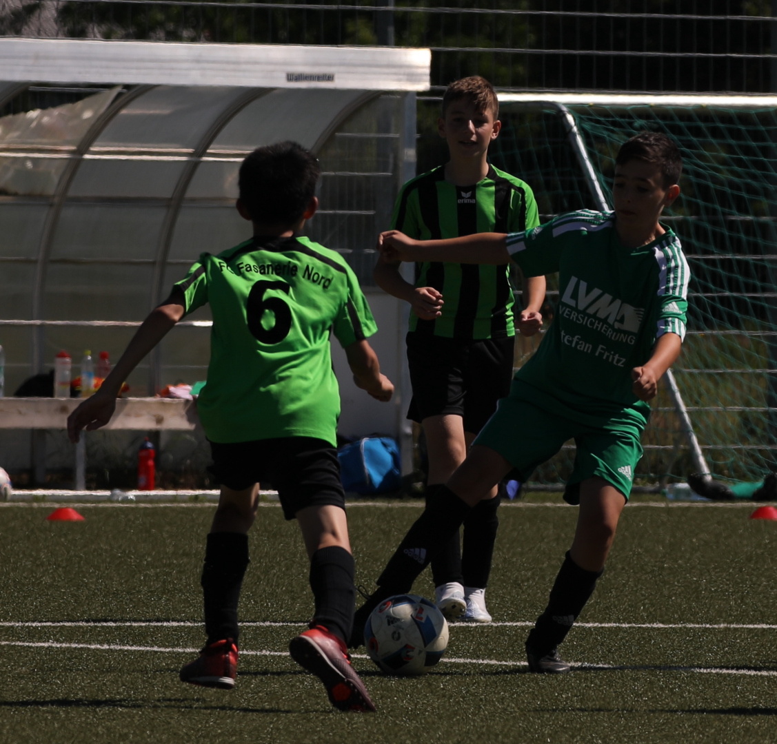 082210_265454037c6a44d18b43f2d6613d30c7~mv2.jpg