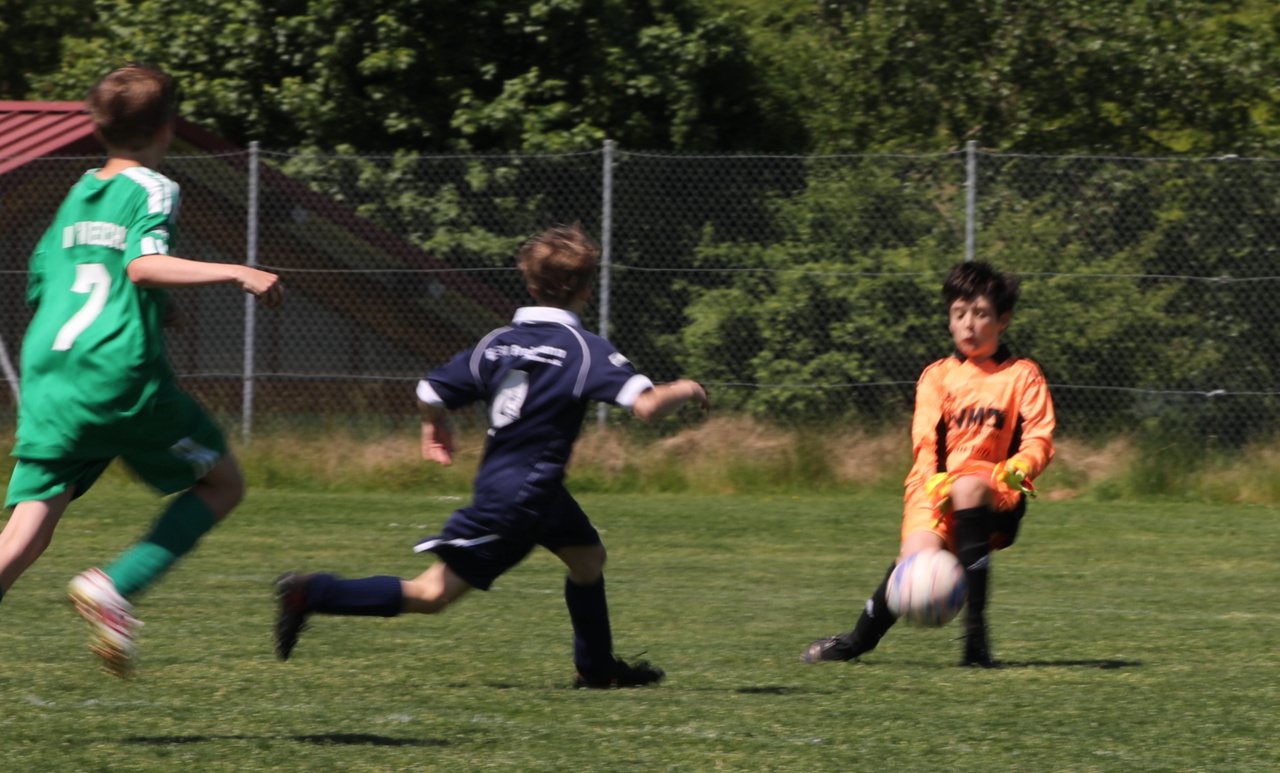 082210_da22ab17578d4ed8ab626c49be2029a2~mv2.jpg