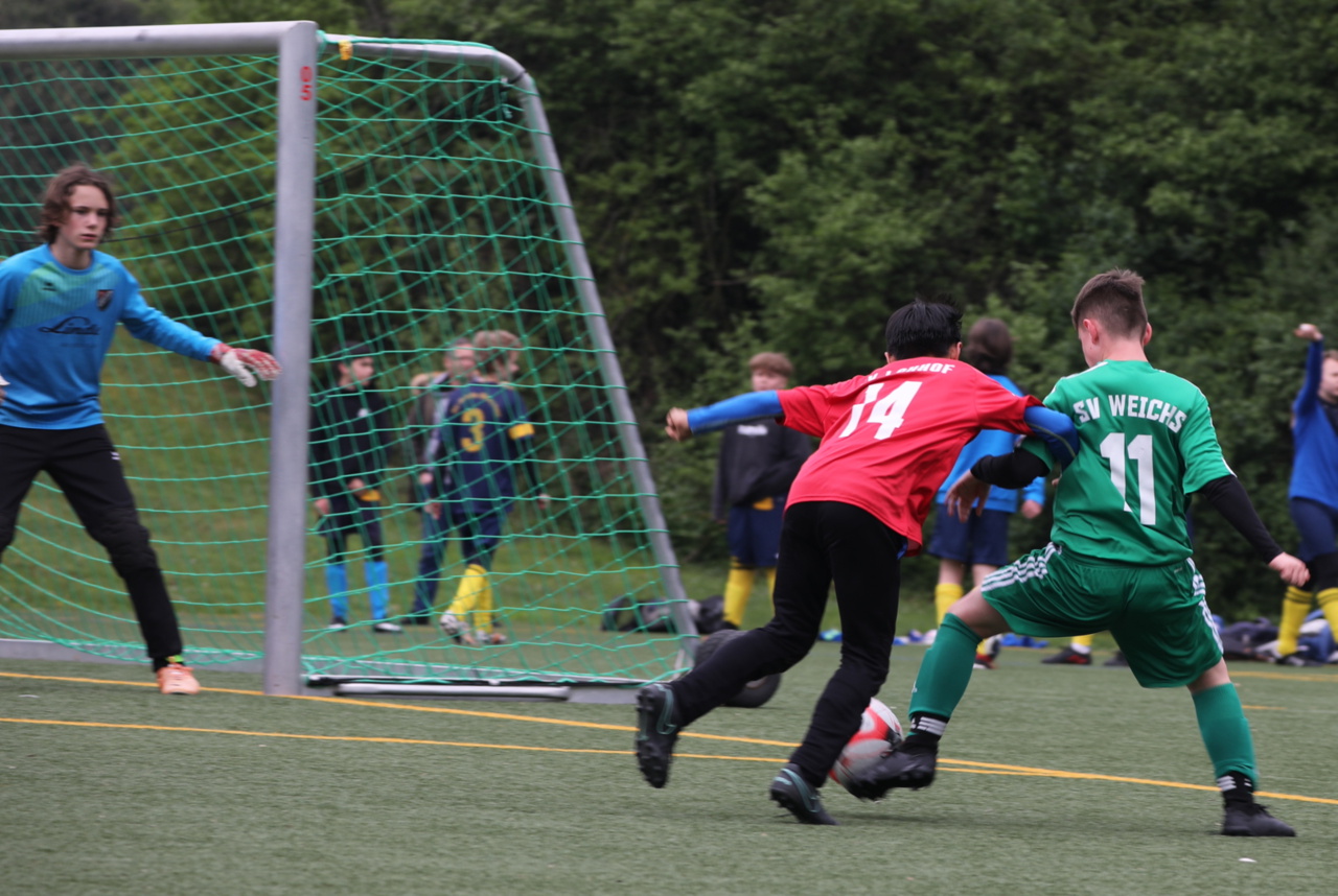 082210_eccfa1689cb04564ad6193480403b684~mv2.jpg