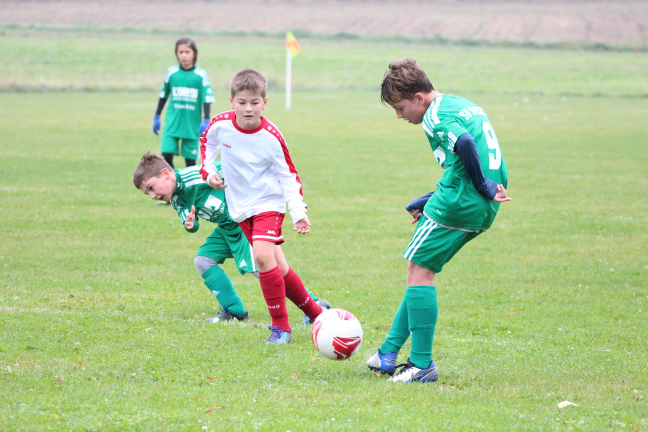 082210_fc793b57fcfe48a6959c78e09f582d05~mv2.jpg