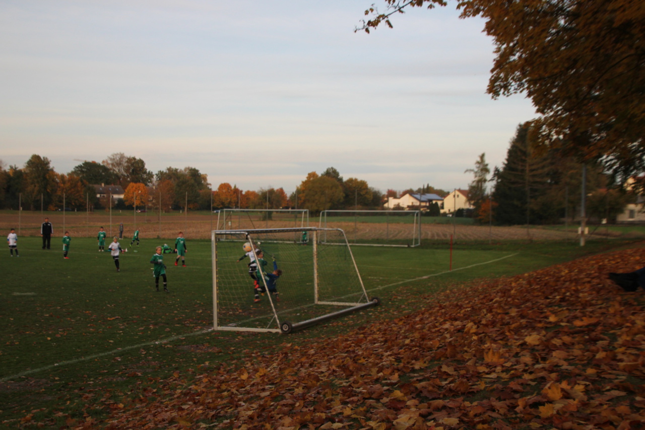 082210_715b5926c2f04f548a04bcd7f4cdb913~mv2.jpg