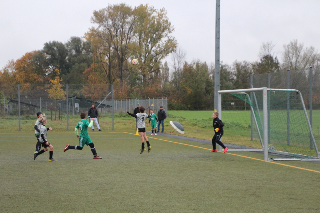 082210_899bc0044e29467ead26edfe6b2c5d32~mv2.jpg