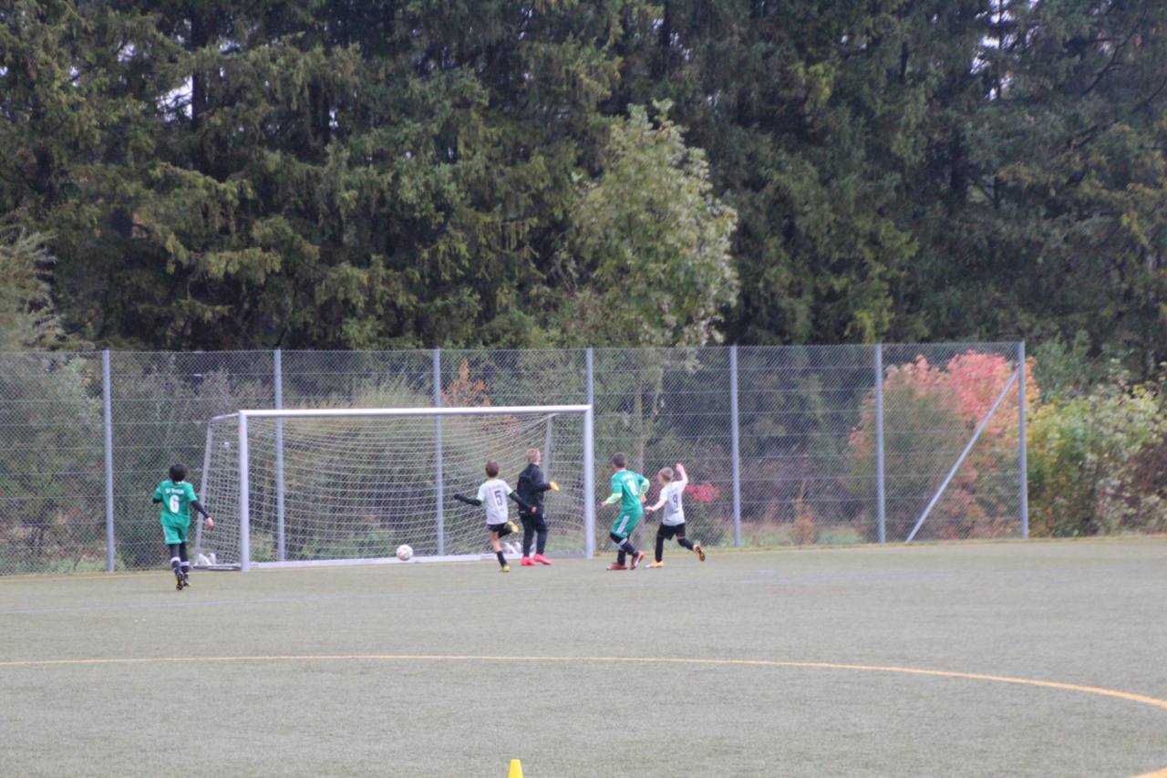 082210_32a64f279073459fa1cd1efb025ca54d~mv2.jpg