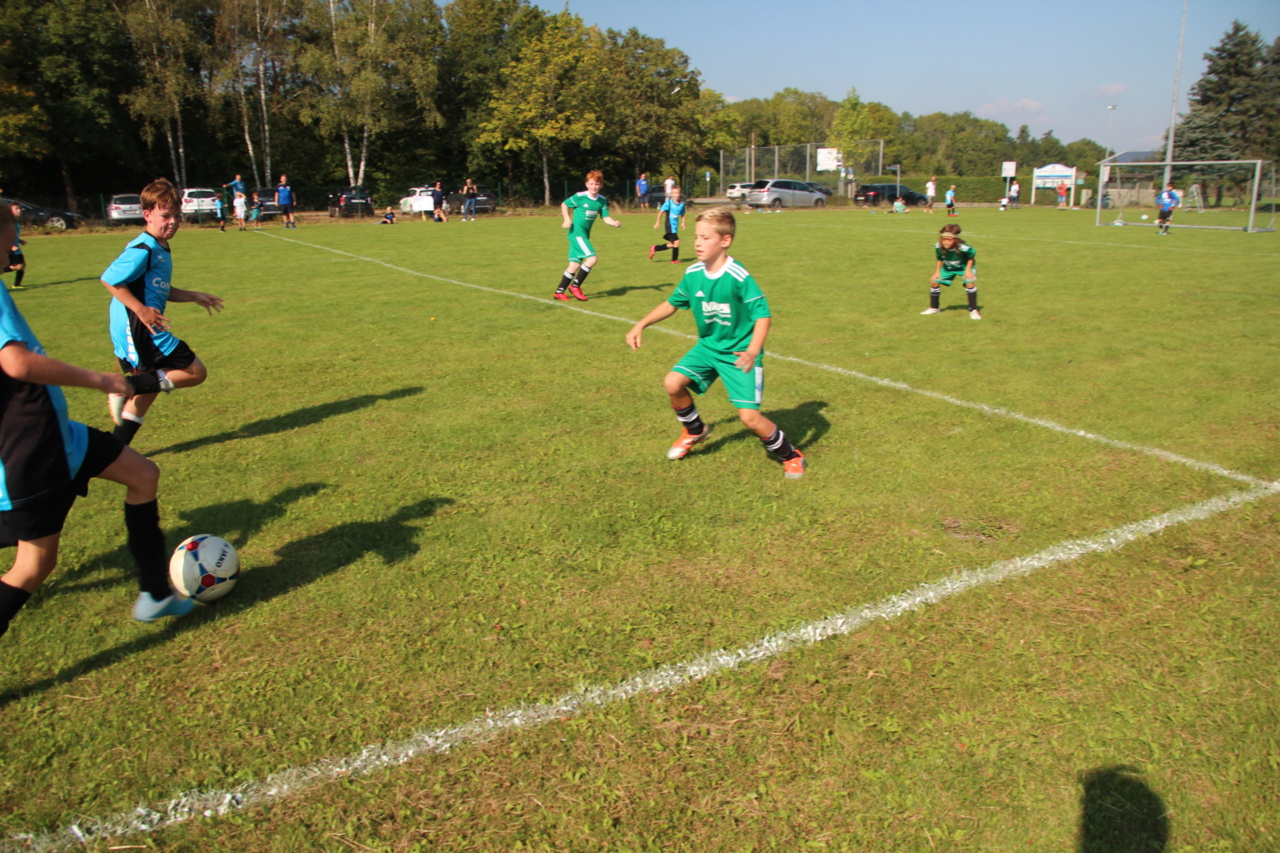 082210_30fcf86cbae544a19ee984daeb741f64~mv2.jpg