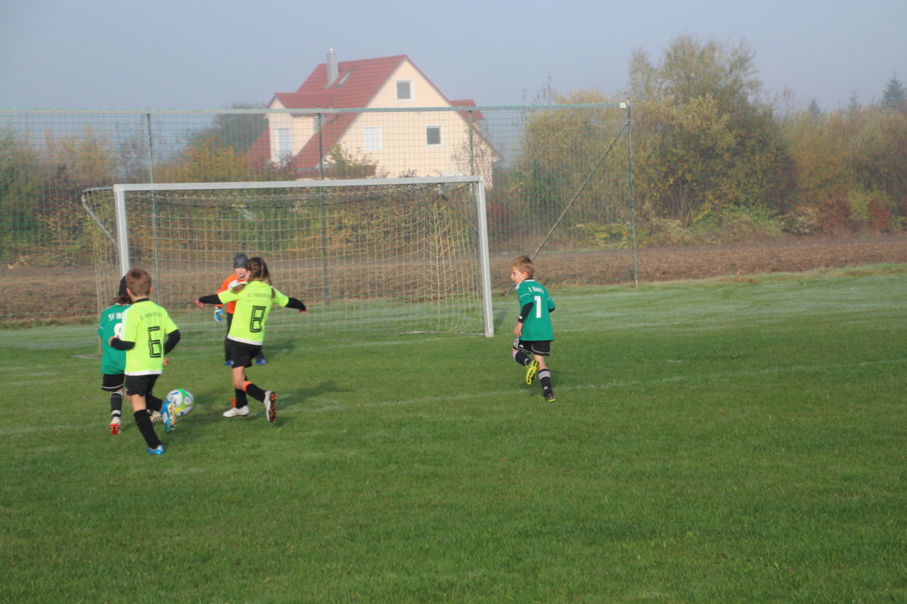 082210_76cfa3d6345c4094a67bdb631bae6c5b~mv2_d_5184_3456_s_4_2.jpg