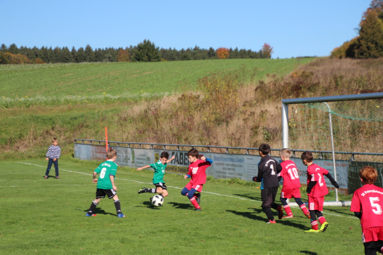 082210_53cda268a0f948f289bf7ff5baf7cc7b~mv2_d_5184_3456_s_4_2.jpg