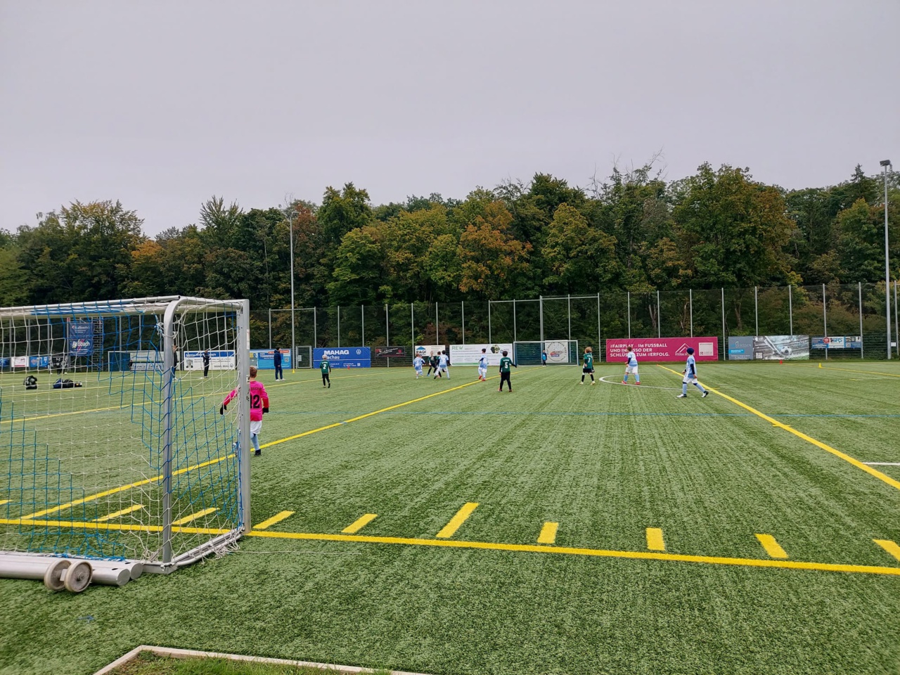 WhatsApp Image 2025-09-28 at 14.46.30