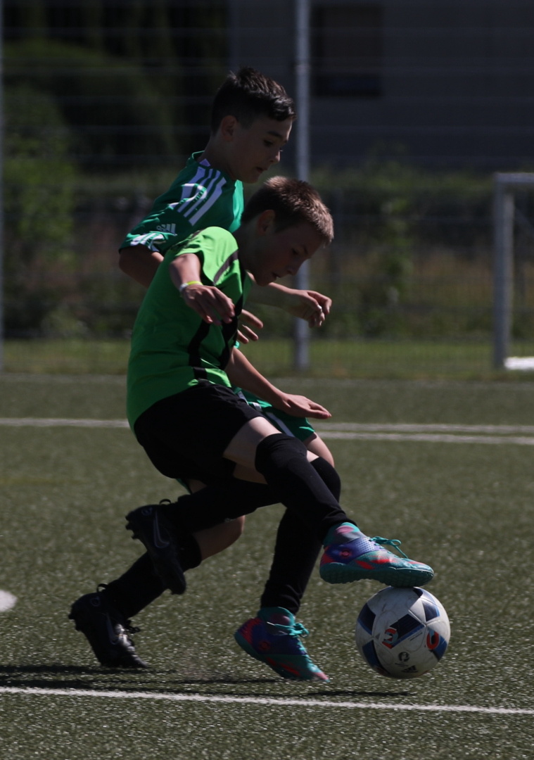 082210_5734b0e1222e4af68756588148b503df~mv2.jpg
