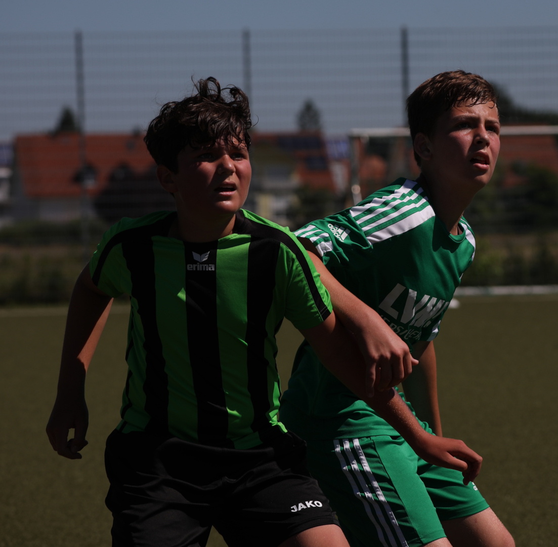 082210_5535be90a32e422f8eb39c9c9d7f7a6d~mv2.jpg