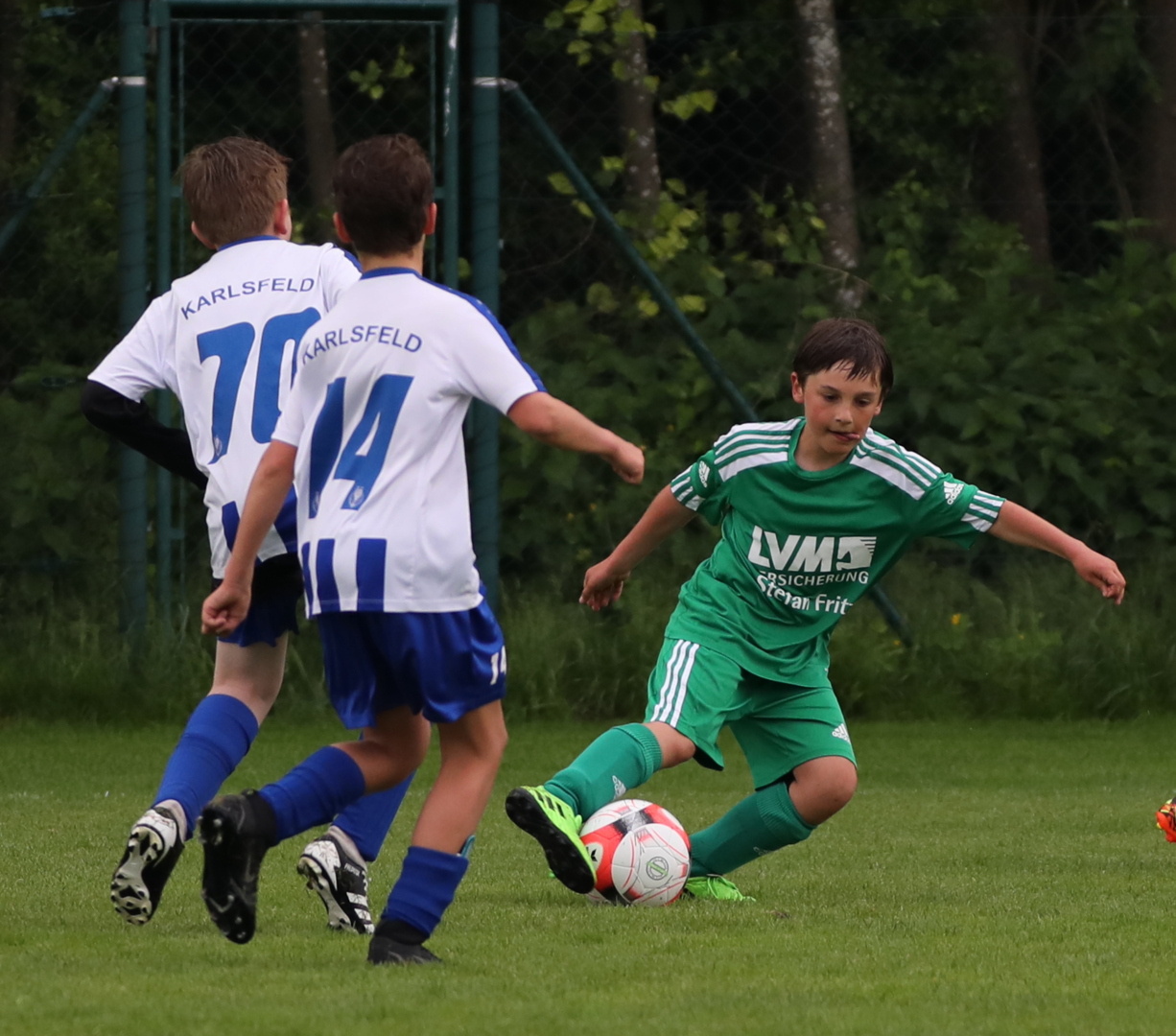 082210_198f14843f504fffbeaa31c4c710b89d~mv2.jpg