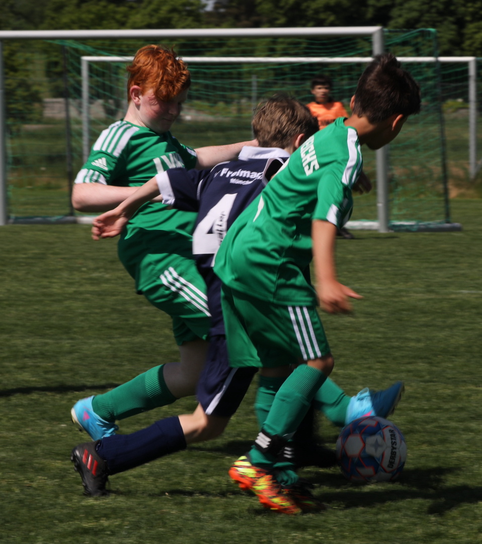 082210_f721f17797c24e2eaa701d594120bc55~mv2.jpg