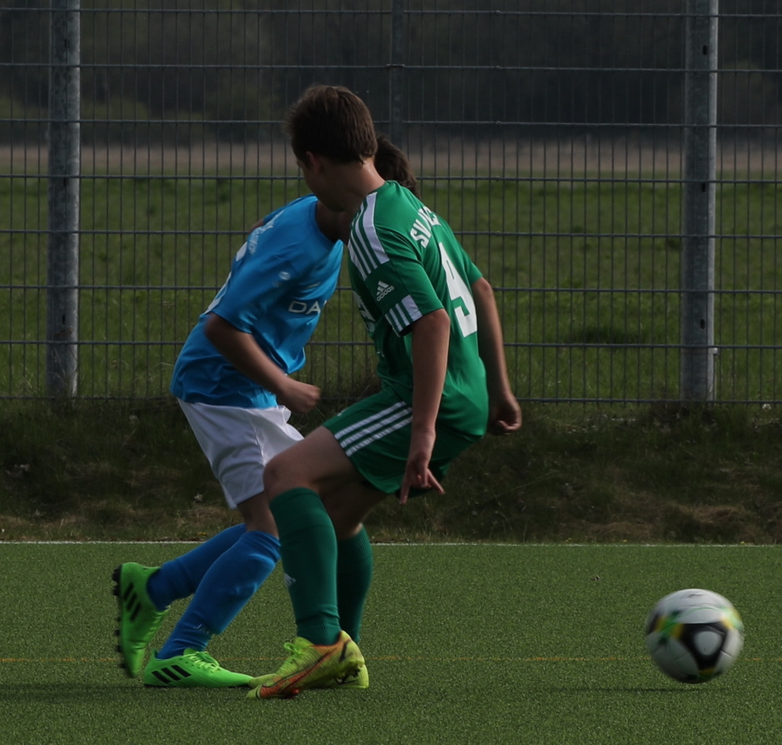 082210_112ec2920a9042f59ea89d6f913977c4~mv2.jpg