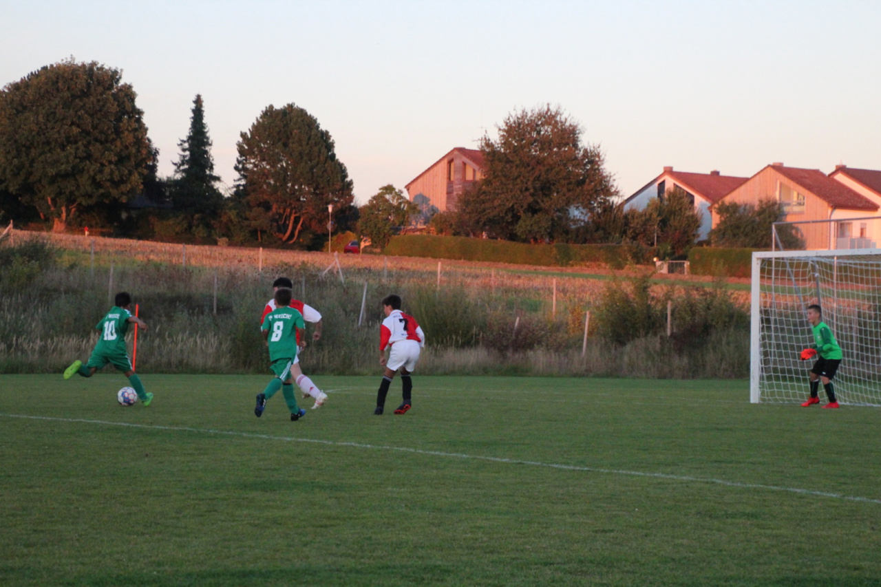082210_b657183ab7504e44afde5e0c0070259b~mv2.jpg