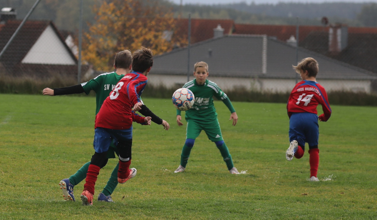 082210_662cd9f797ab4c719a6ef6833cc9559d~mv2.jpg