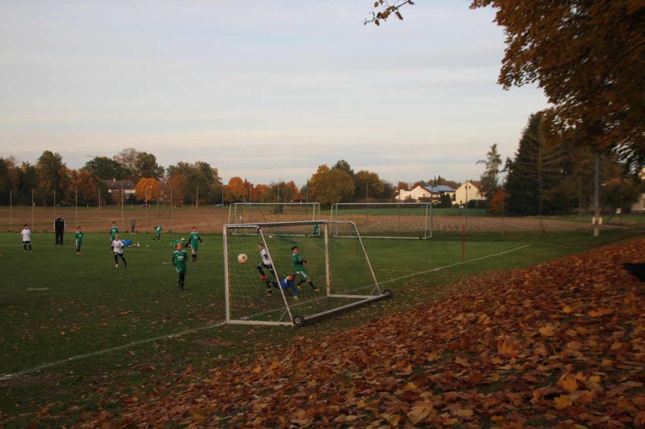 082210_6bfc1e3c18c7414ea31538efe25af4c2~mv2.jpg