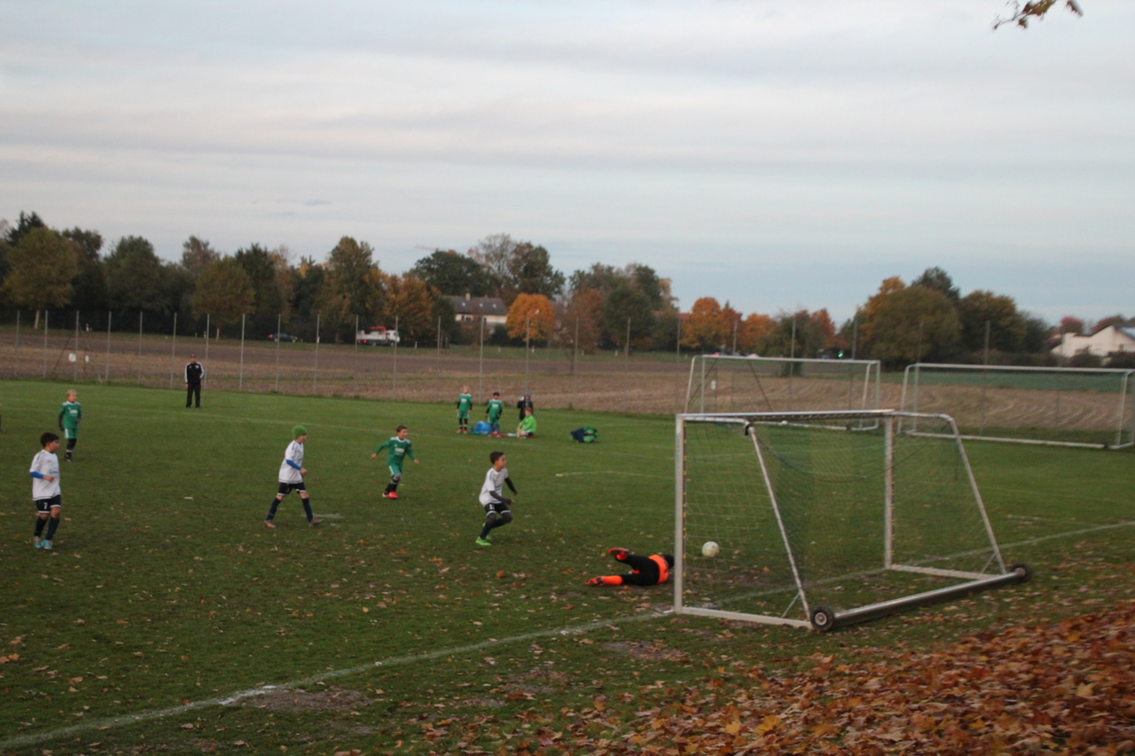 082210_eccf0ee50d26444cb52b3f8ede583718~mv2.jpg
